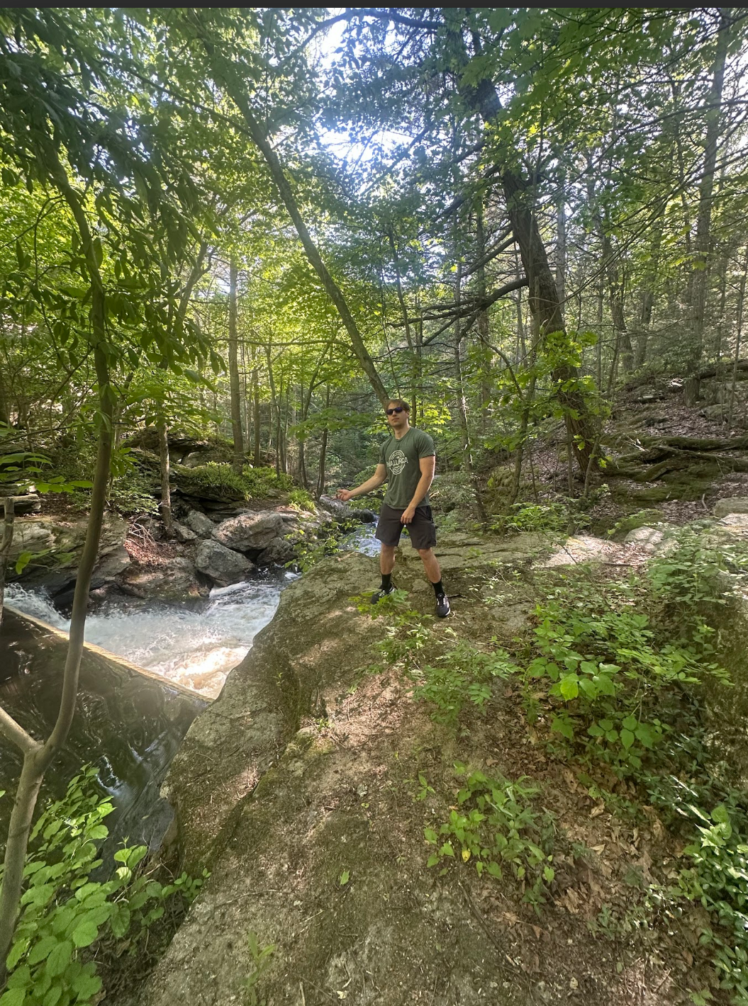 Finding Peace in Nature